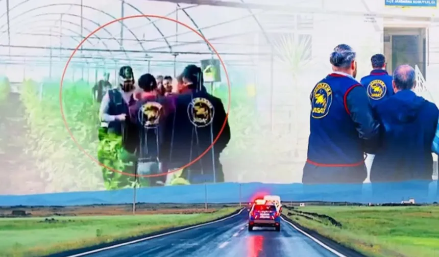 7 yıllık cinayet firarisi serada yakalandı!