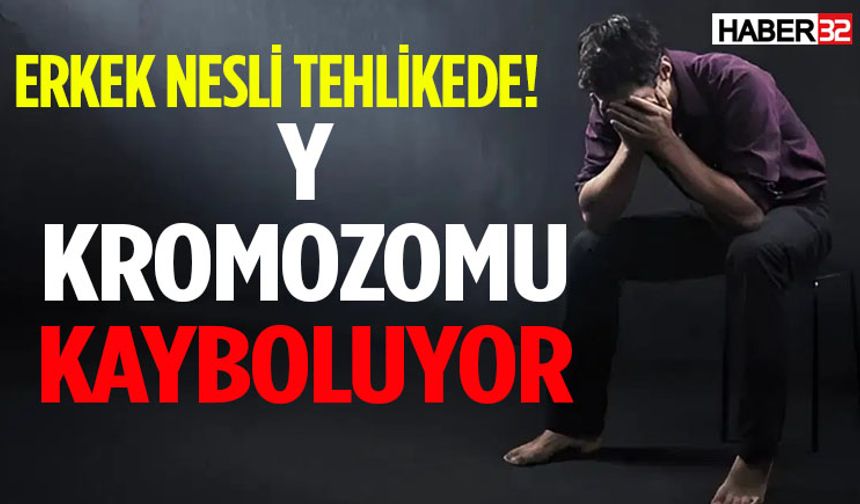 Erkek Nesli Tehlikede! Y Kromozomu Kayboluyor