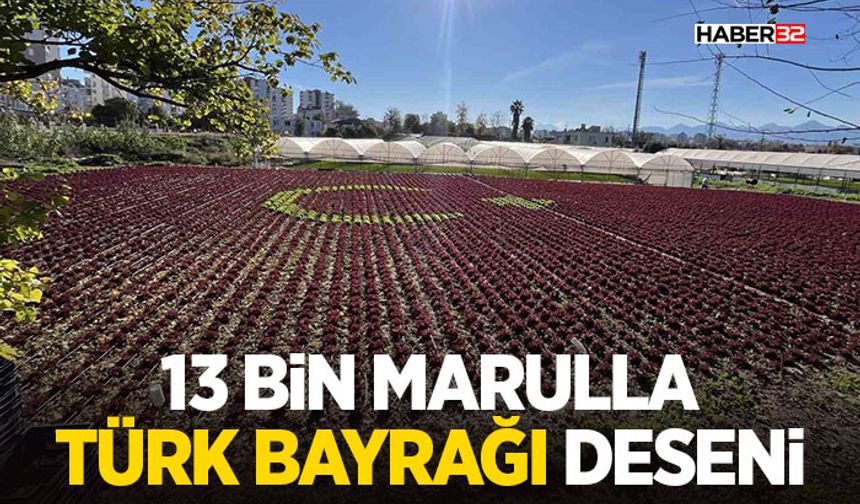 13 bin marulla Türk bayrağı deseni oluşturdu