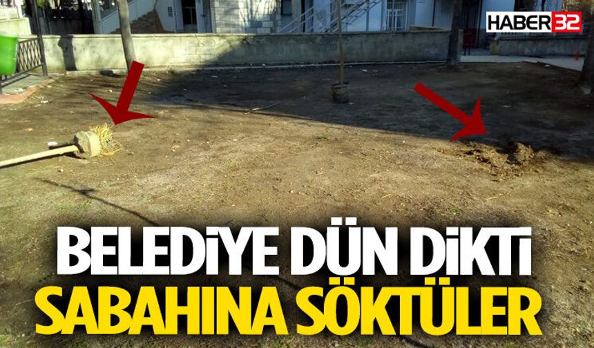 Karakavak Camii Önündeki Yeşil Alanda Üzücü Olay