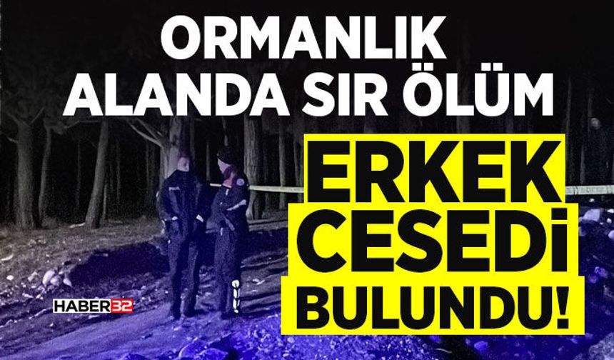 Ormanlık Alanda Sır Ölüm: Erkek C*sedi Bulundu!