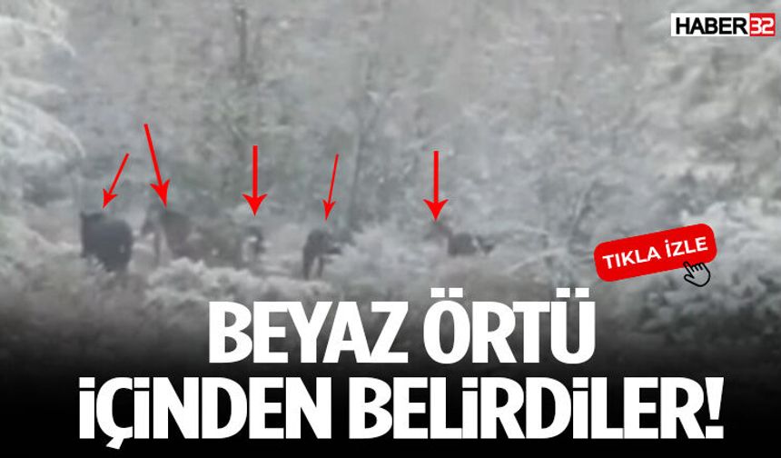 Beyaz Örtü İçinden Belirdiler!