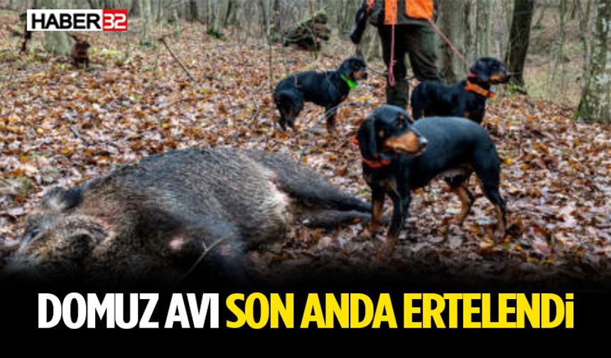 Domuz Avı Son Anda Ertelendi
