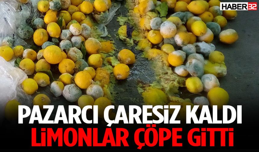 Yüksek Fiyat Yüzünden Limonlar Çöpe Gitti
