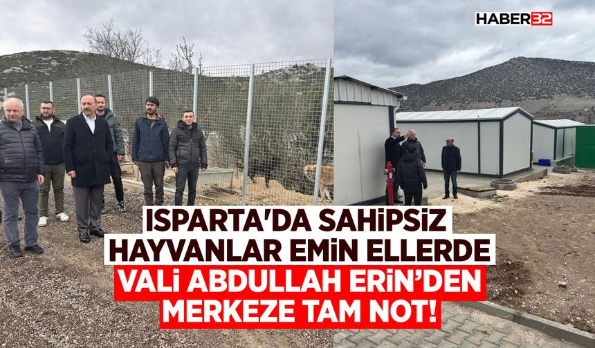 Isparta'da Sahipsiz Hayvanlar Emin Ellerde