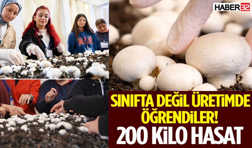 Sınıfta Değil Üretimde Öğrendiler! 200 Kilo Hasat