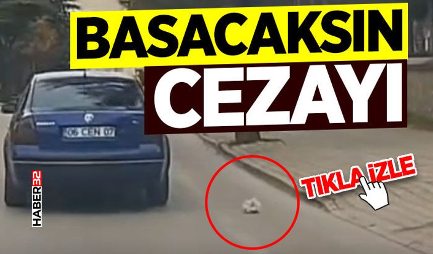 Çirkin Görüntü: Camı Açıp Yola Savurdu!