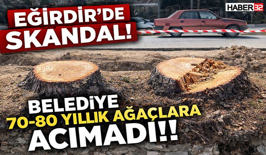 Eğirdir’de Skandal! Belediye 70-80 Yıllık Ağaçlara Acımadı