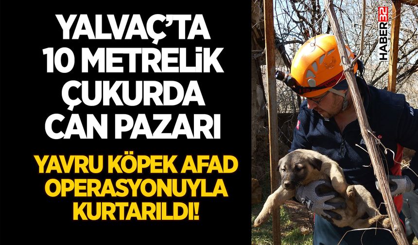 Yavru Köpek AFAD Operasyonuyla Kurtarıldı!