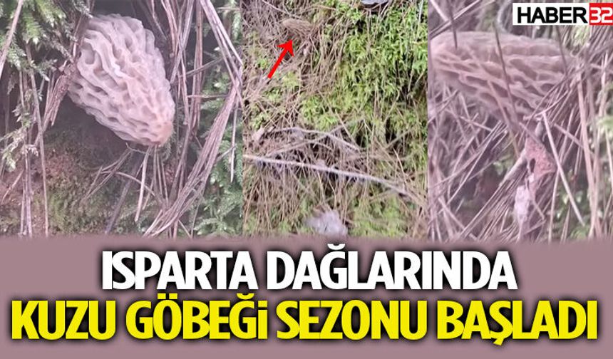 Isparta Dağlarında Kuzu Göbeği Sezonu Başladı