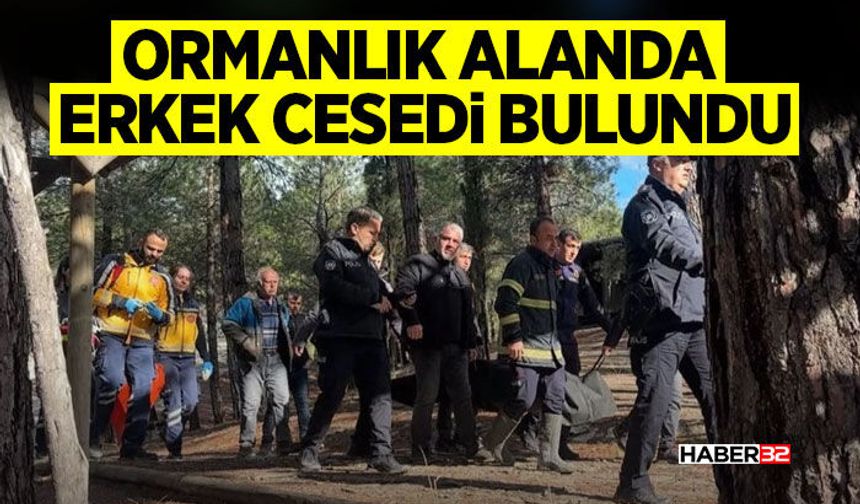 Ormanlık alanda erkek c*s*di bulundu