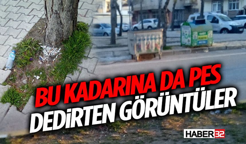 Isparta’da Çevre Duyarsızlığı: Sigara İzmariti Ağacın Dibine Atıldı