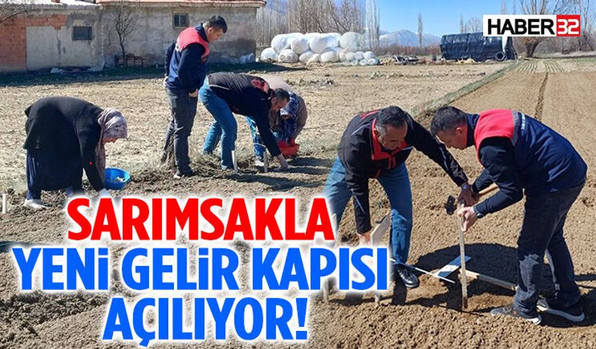 Şarkikaraağaç’ta Sarımsak Deneme Ekimi Başladı