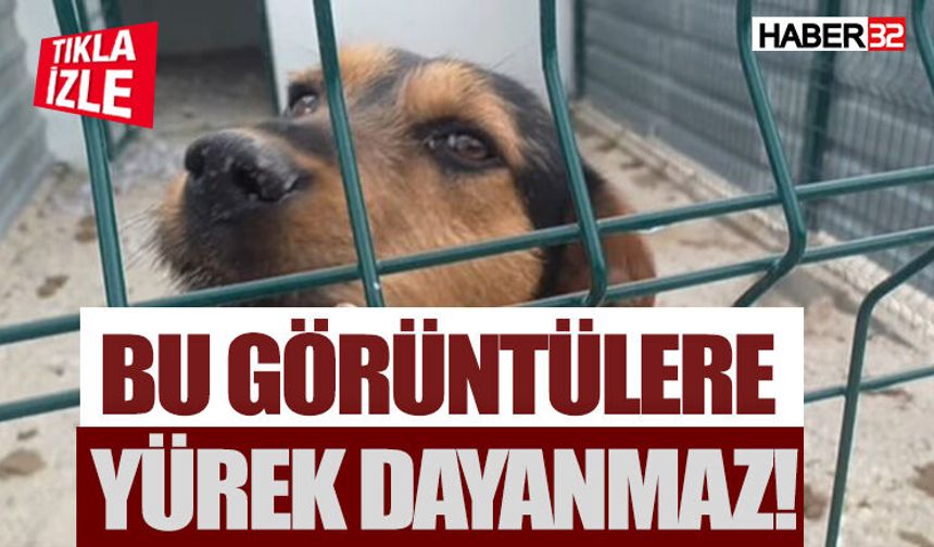 Gönüllüler Koşulların Yetersiz Olduğunu Öne Sürdü