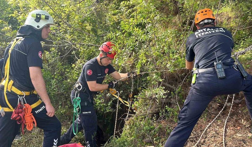 Dağlık alanda otlarken mağaraya düşen inek mağaraya inebilecek kasap bulunamayınca telef oldu