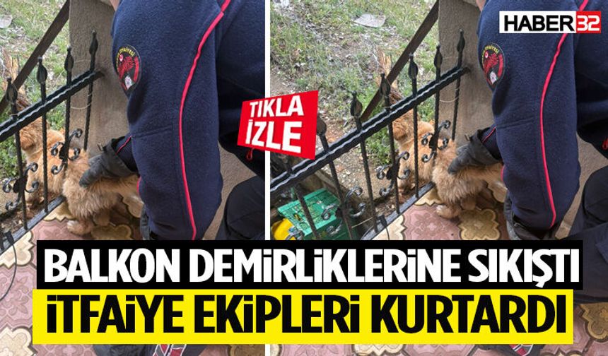 Balkon Demirliklerine Sıkıştı İtfaiye Ekipleri Kurtardı