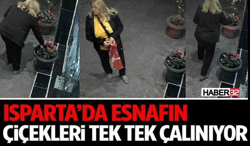 Isparta’da Esnafın Çiçekleri Tek Tek Çalınıyor