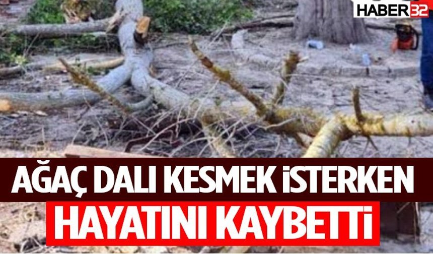Ağaç Dalı Kesmek İsterken Hayatını Kaybetti