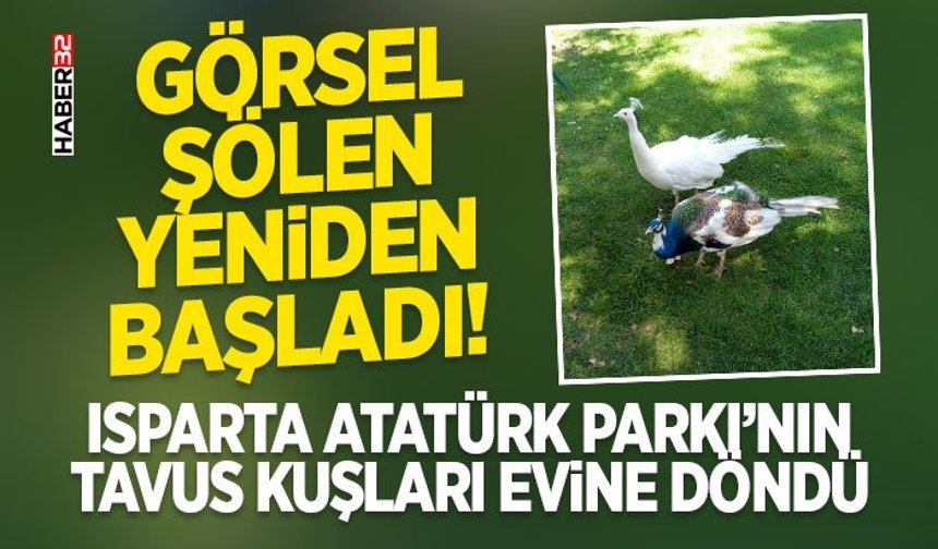 Isparta Atatürk Parkı’nın Tavus Kuşları Evine Döndü