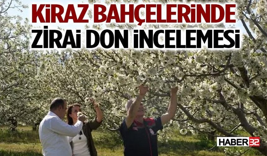 Isparta’da Kiraz Bahçelerinde Zirai Don İncelemesi