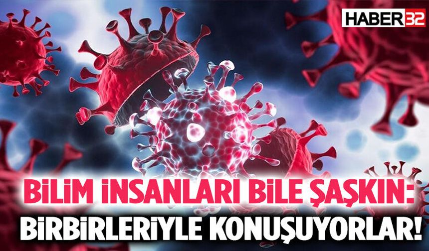 Merak Uyandıran Keşif: Birbirleriyle Sessizce Konuşuyorlar