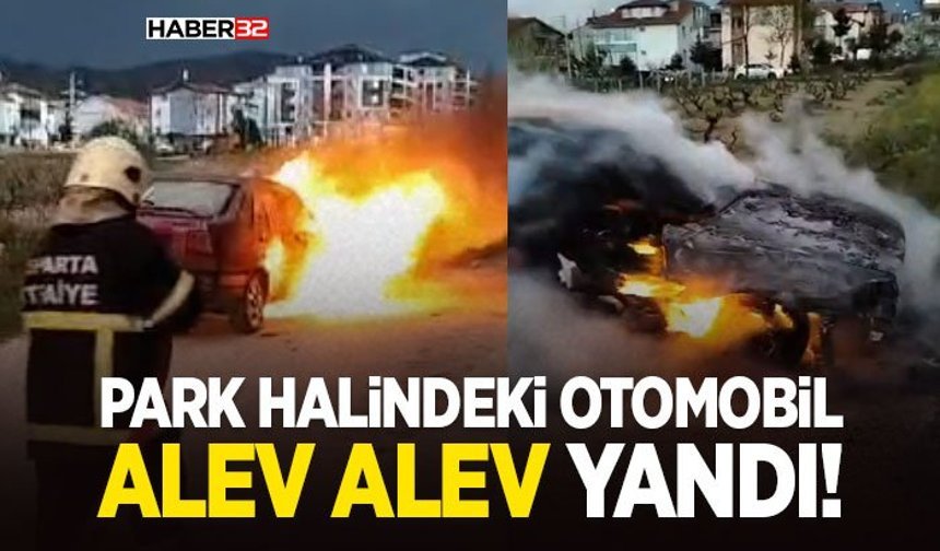 Park Halindeki Otomobil Alev Alev Yandı!