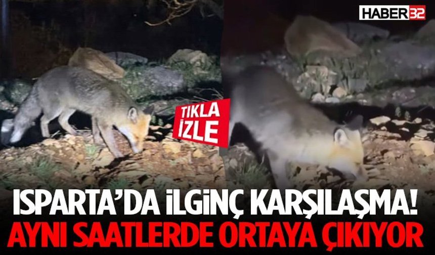 Isparta’da İlginç Karşılaşma! Aynı Saatlerde Ortaya Çıkıyor