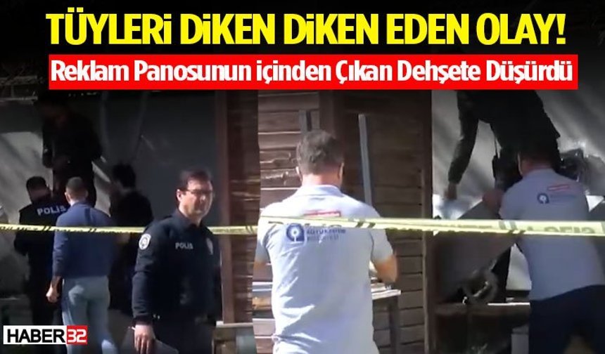Tüyleri Diken Diken Eden Olay! Böylesi Görülmedi