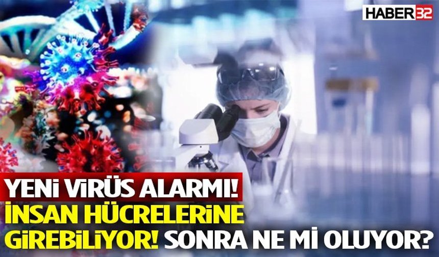 Yeni Virüs Alarmı! İnsan Hücrelerine Girebiliyor