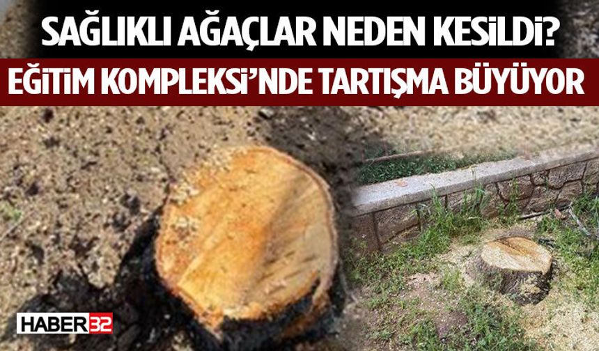 Sağlıklı Ağaçlar Neden Kesildi? Eğitim Kompleksi’nde Tartışma Büyüyor