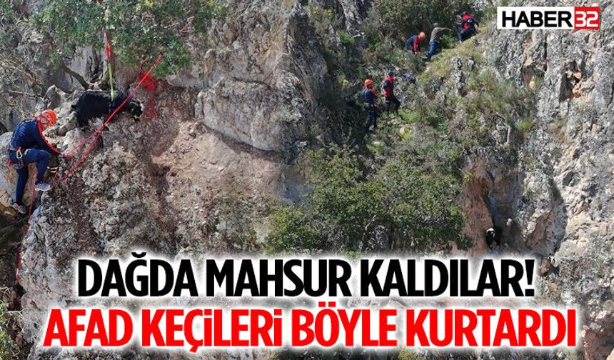 Dağda Mahsur Kaldılar! AFAD Keçileri Böyle Kurtardı