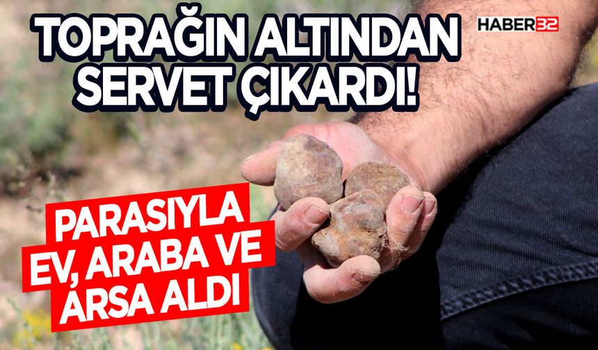 Toprağın Altından Servet Çıkardı!