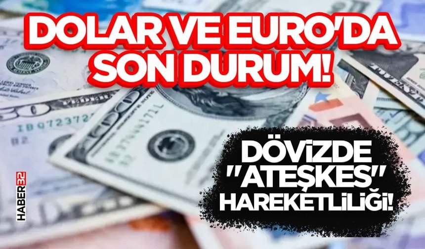 Dolar ve Euro'da Son Durum!