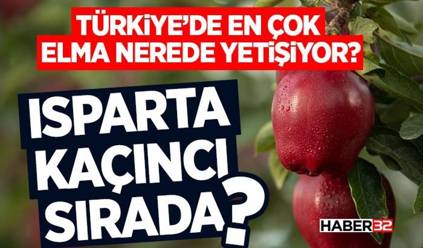 Türkiye’de En Çok Elma Nerede Yetişiyor?
