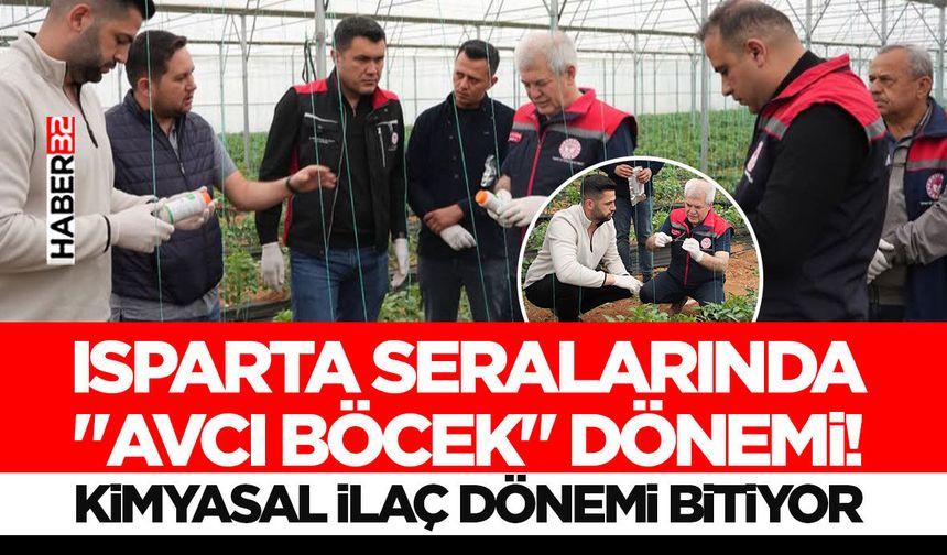 Isparta Seralarında "Avcı Böcek" Dönemi!