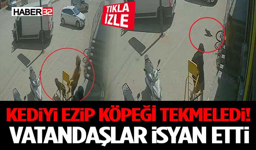 Kediyi Ezip Köpeği Tekmeledi Vatandaşlar İsyan Etti