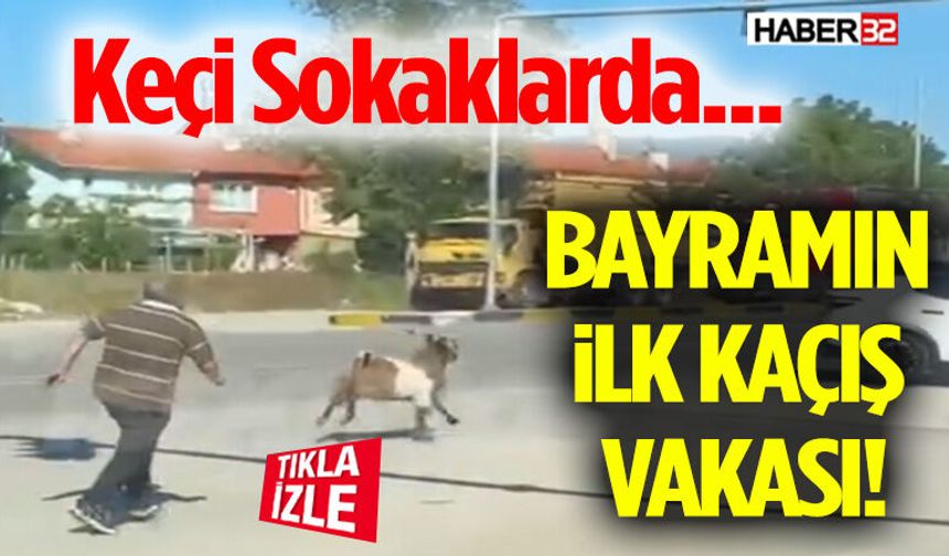 Bayramın İlk Kaçış Vakası: Keçi Sokaklarda