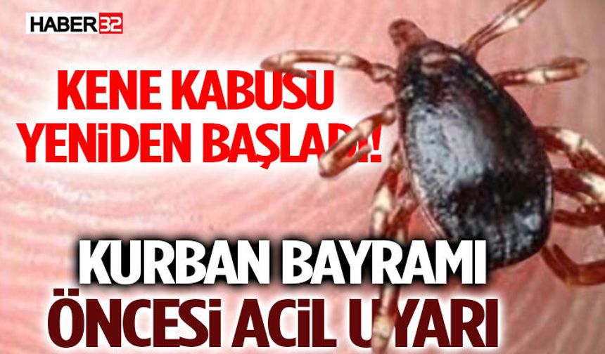 Kene Kabusu Yeniden Başladı! Kurban Bayramı Öncesi Acil Uyarı