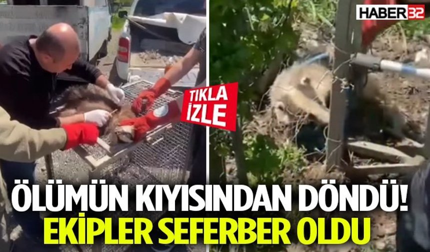 Ölümün Kıyısından Döndü! Ekipler Seferber Oldu