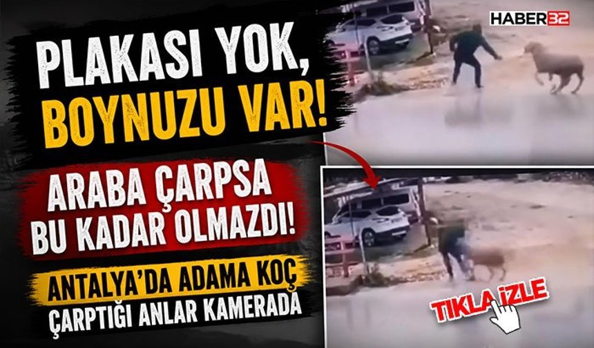 Araba Çarpsa Bu Kadar Olmazdı! - Plakası Yok, Boynuzu Var!