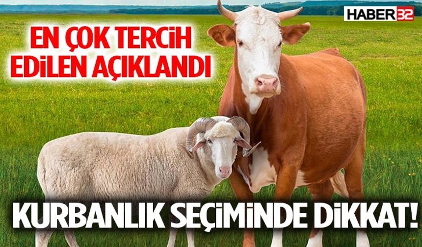 Kurbanlık seçiminde dikkat! En çok tercih edilen açıklandı