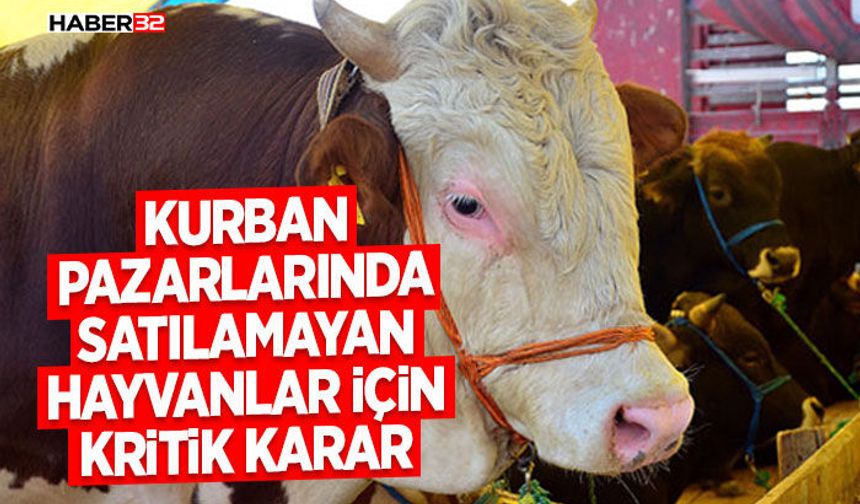 Kurban Pazarlarında Satılamayan Hayvanlar İçin Kritik Karar