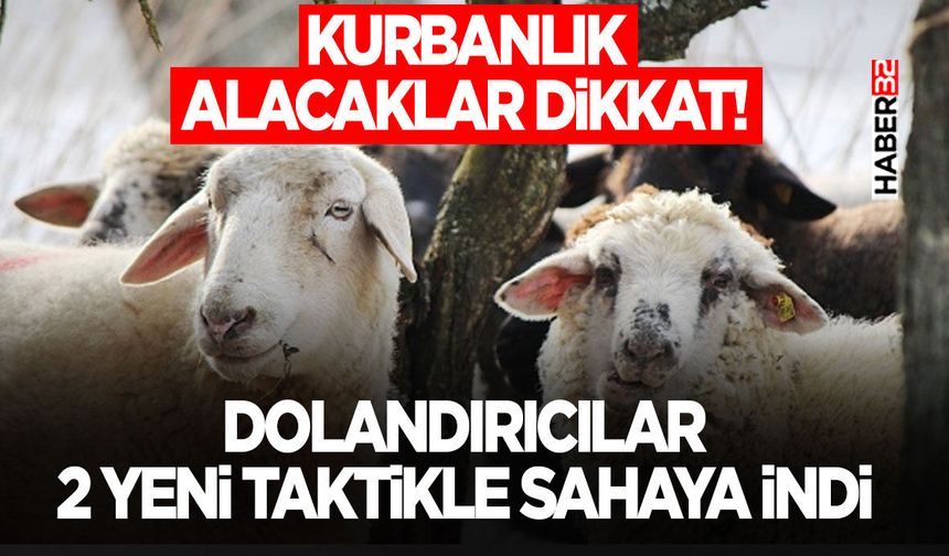 Dolandırıcılar 2 Yeni Taktikle Sahaya İndi