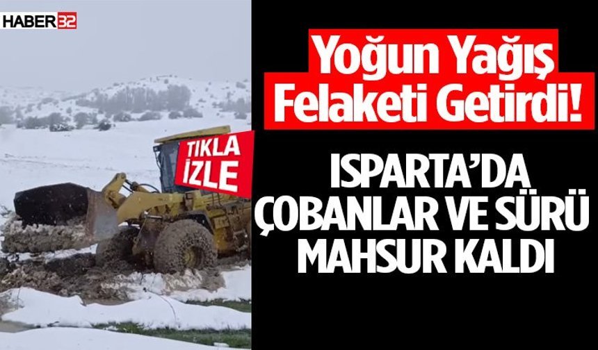 Yoğun Yağış Felaketi Getirdi! Çobanlar Ve Sürü Mahsur Kaldı