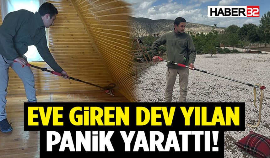 Eve Giren Dev Yılan Panik Yarattı! Ekipler Anında Müdahale Etti