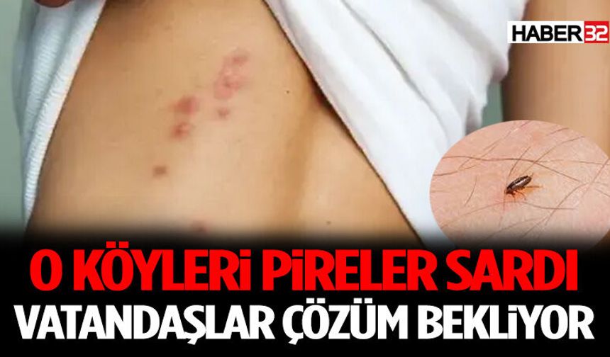 O Köyleri Pireler Sardı: Vatandaşlar Çözüm Bekliyor