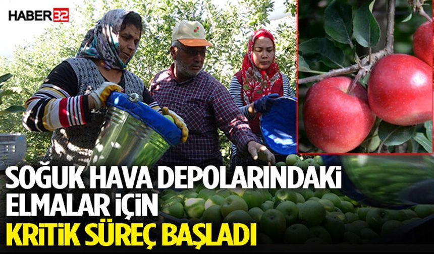 Soğuk Hava Depolarındaki Elmalar İçin Kritik Süreç Başladı