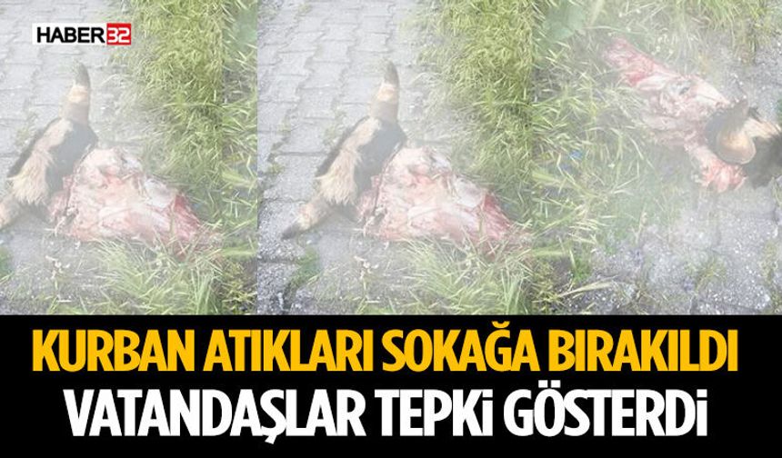Kurban Atıkları Sokağa Bırakıldı Vatandaşlar Tepki Gösterdi