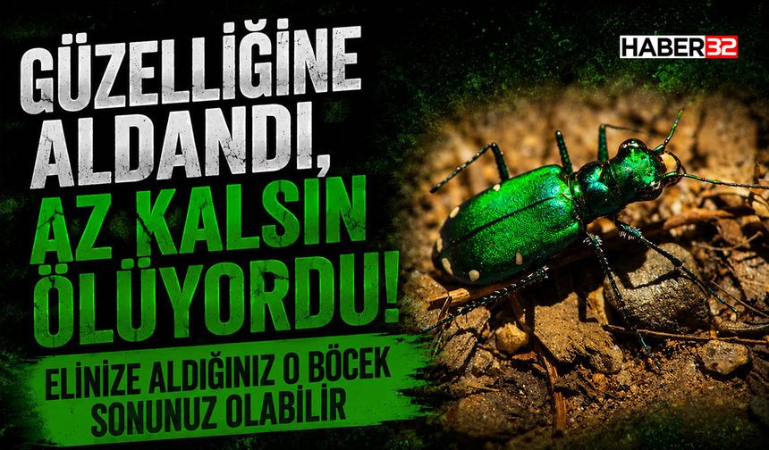 Güzelliğine Aldandı, Az Kalsın Ölüyordu!
