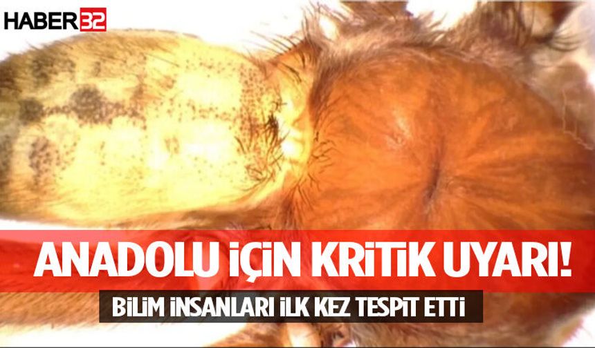 Anadolu İçin Kritik Uyarı! Bilim İnsanları İlk Kez Tespit Etti